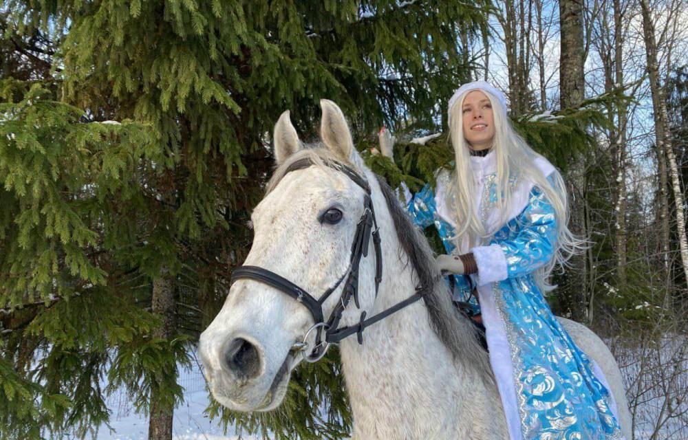КОННОЕ ПРЕДСТАВЛЕНИЕ «Новогодняя сказка»